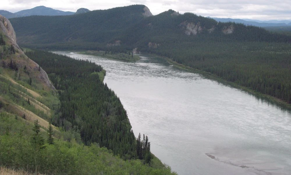 Paisajes de la taiga.