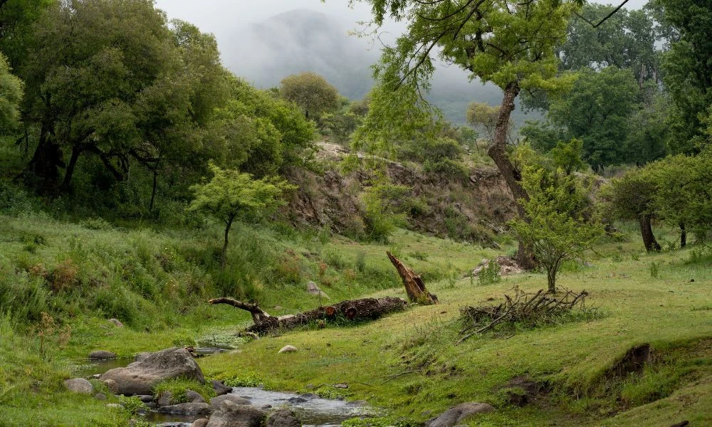 Tierra mojada.