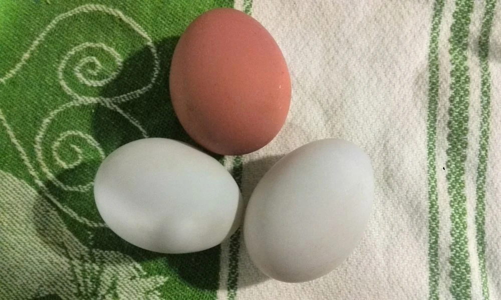 Huevo de colores.