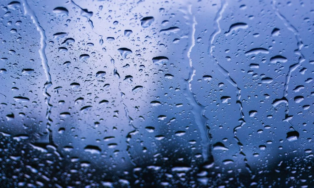 Consecuencias de El Niño.