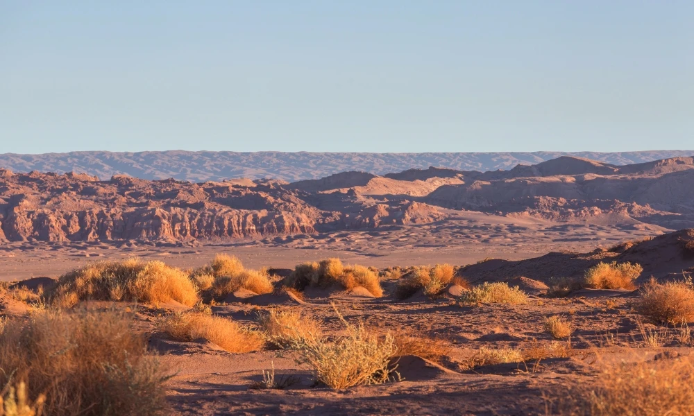 ¿Puede producirse un aluvión en el desierto de Atacama?