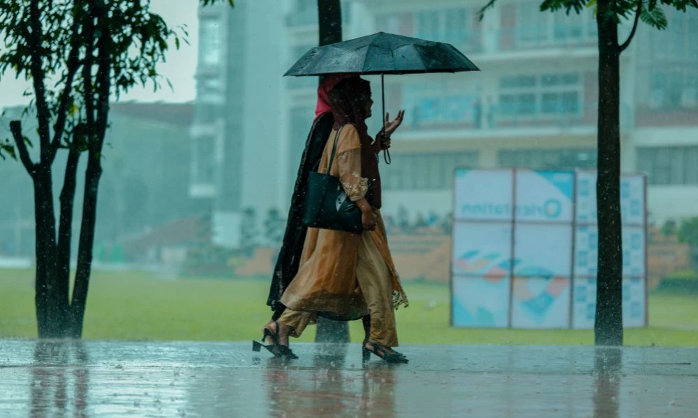 Lluvia de la tormenta de Santa Rosa 2026.
