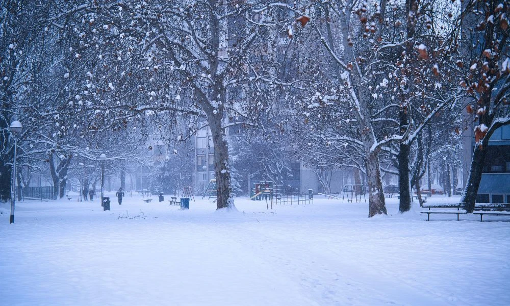 Nieve en ciudad.
