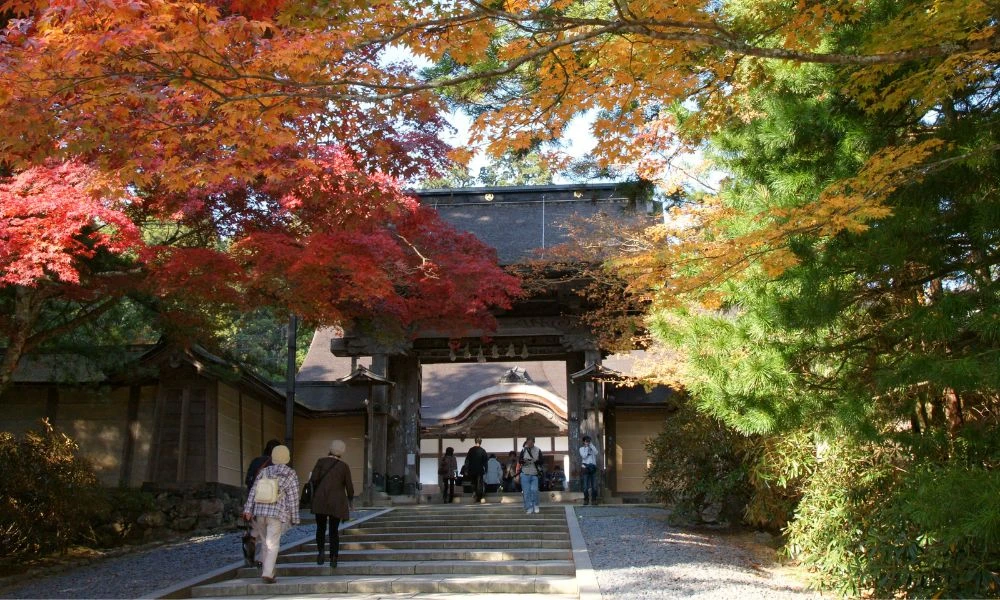 Paisajes de Japón.