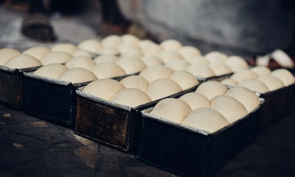 Cocina.