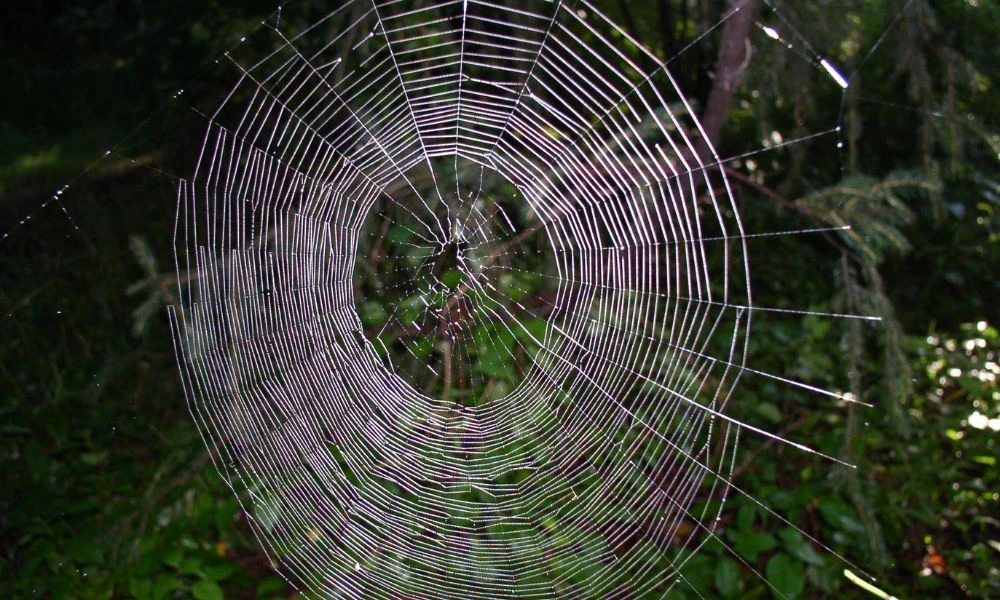 Naturaleza.