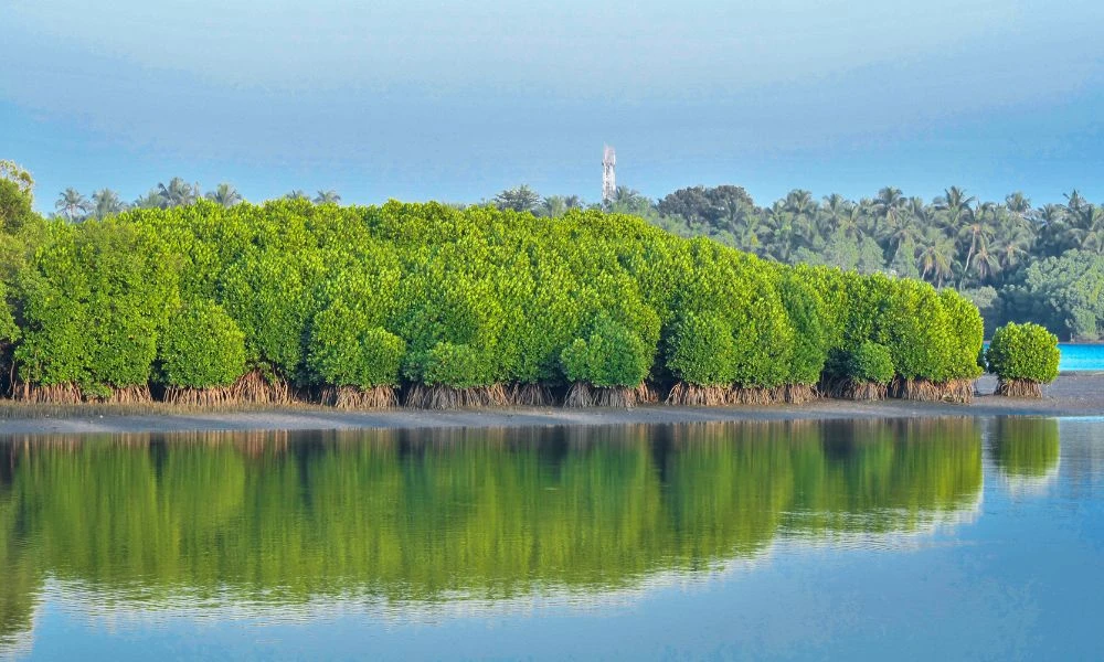 Naturaleza.