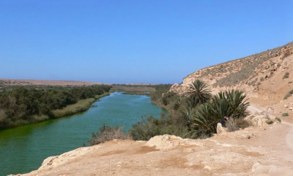 Estuario.