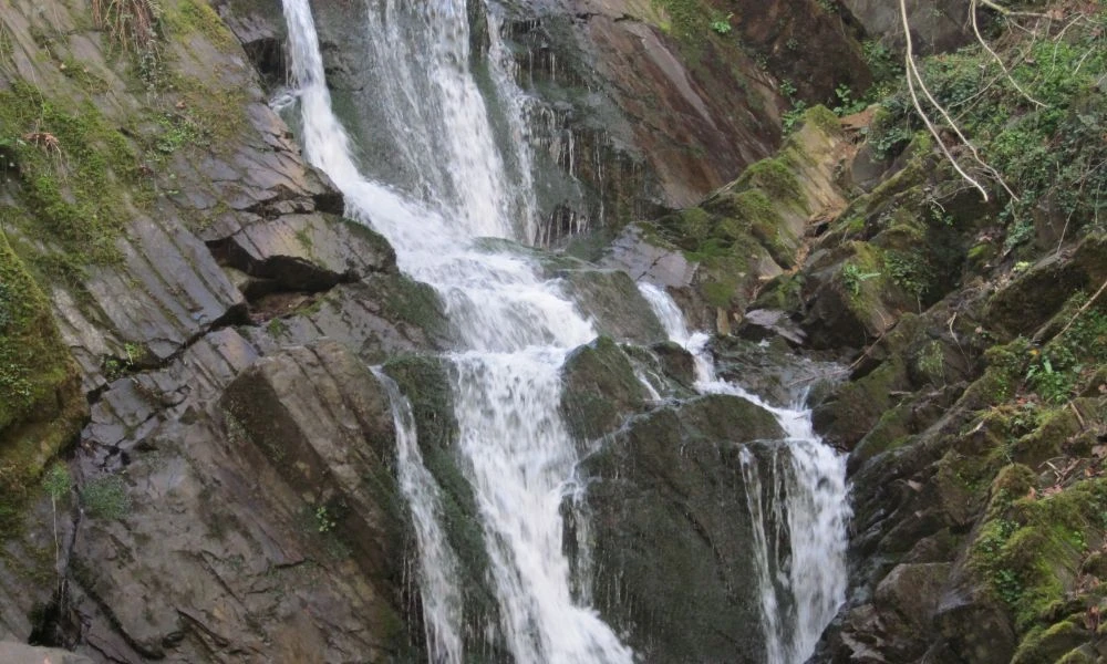 Aspecto de una cascada.