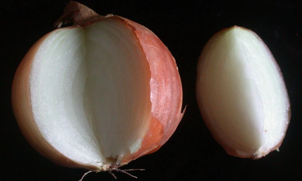 Cortar una cebolla.