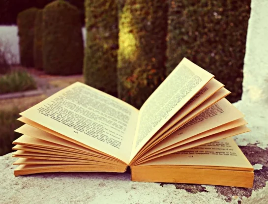 ¿Por qué los libros tienen índice?