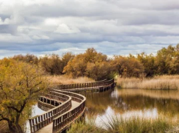 tablas-de-daimiel