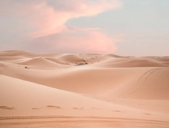 ¿Cómo pueden arena y polvo del Desierto del Sahara cruzar todo el océano Atlántico?