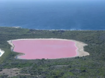 lago
