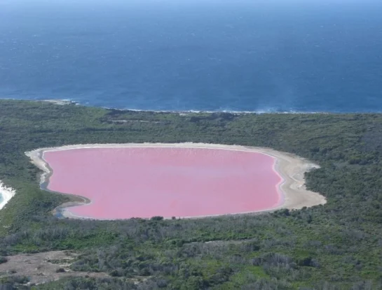 ¿Por qué existen lagos de color rosa?