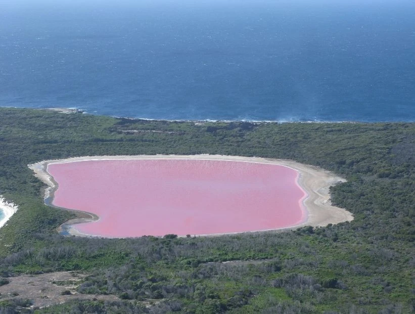 lago