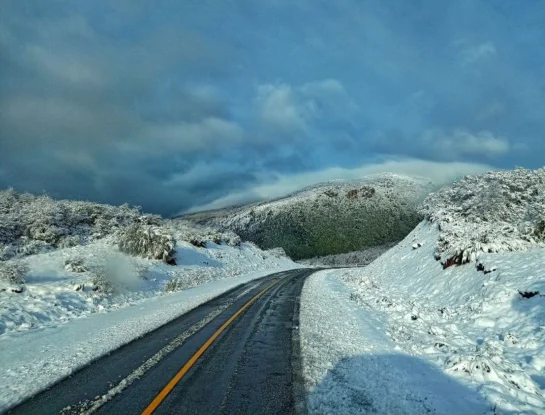 ¿Por qué la Ruta 40 es la más famosa de Argentina?