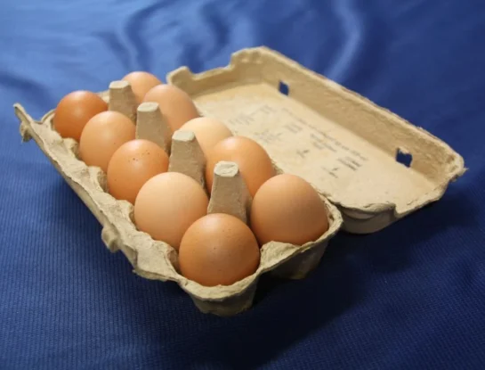 ¿Por qué hay huevos que flotan en el agua y otros se hunden?