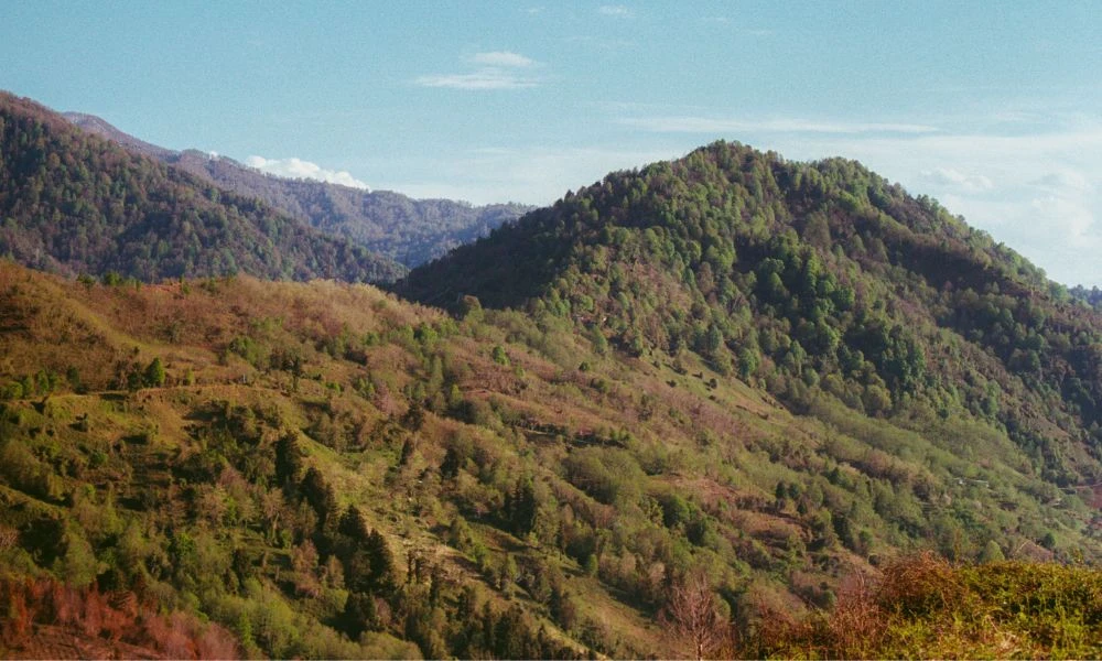 Terremotos en montaña.