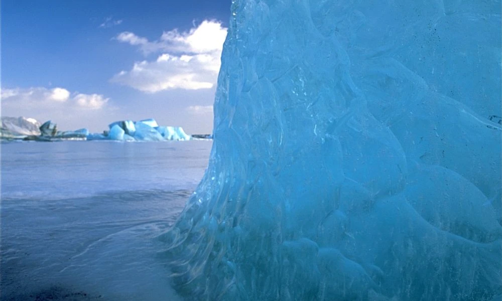 Naturaleza.