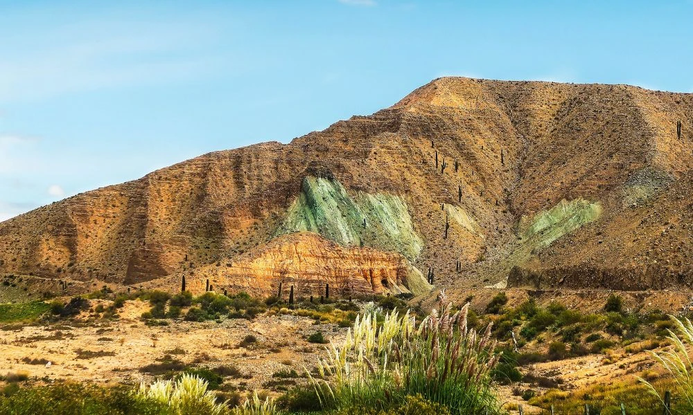 Naturaleza.