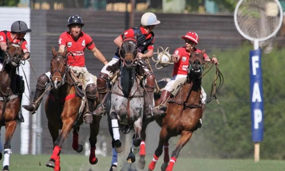 Juego del deporte nacional de Argentina.