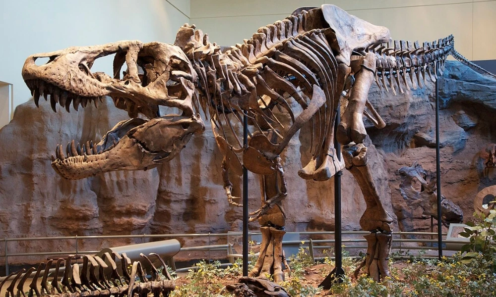 ¿Cómo se le toma la temperatura a un dinosaurio que murió hace 66 millones de años?