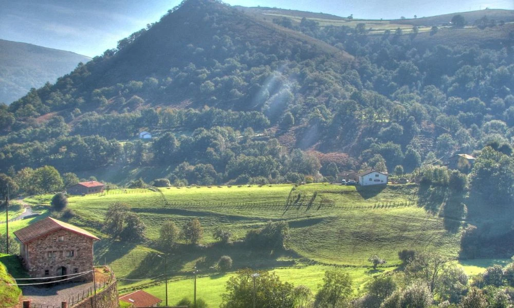 Montaña.