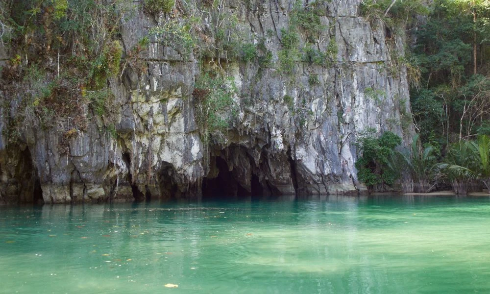Naturaleza.