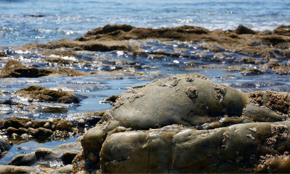 Playas de piedra.