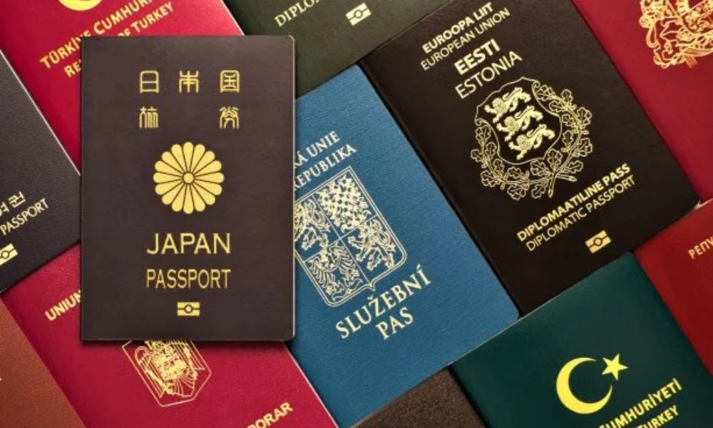 Pasaportes.
