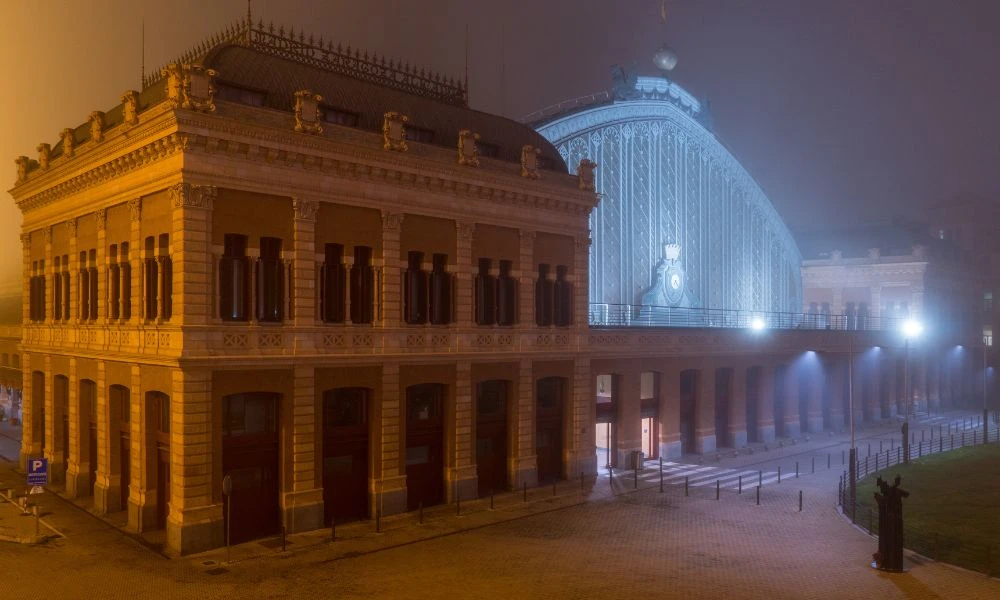 Niebla en ciudad.