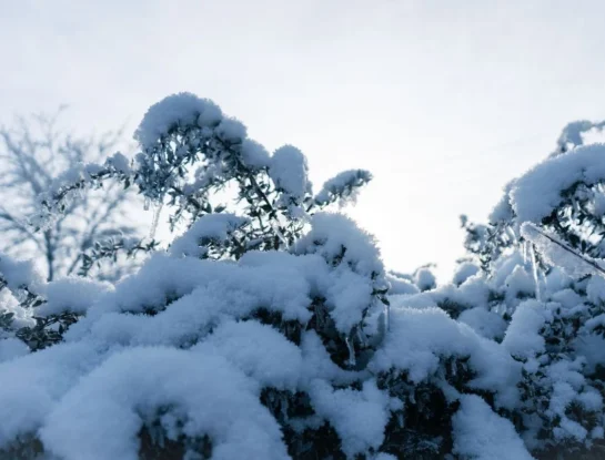 ¿Por qué los copos de nieve tienen seis puntas?