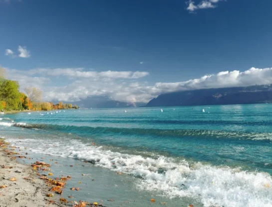 ¿Por qué las olas rompen cuando llegan a la playa?