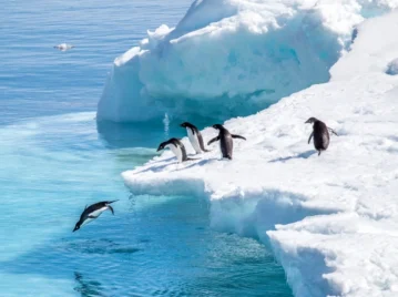 por qué la Antártida crece en invierno