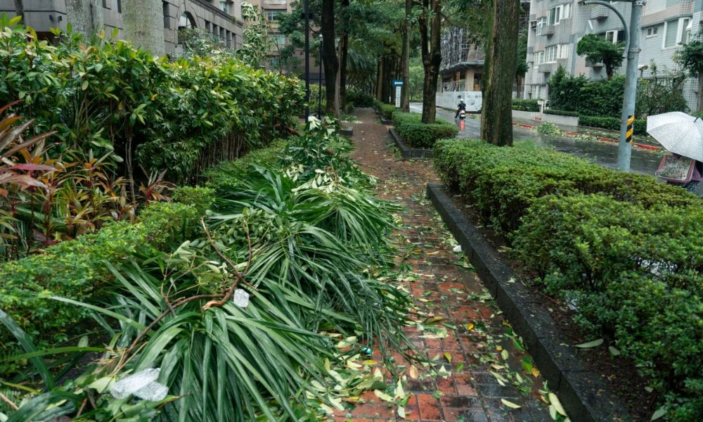 Ciudad de Japón luego de un tifón.