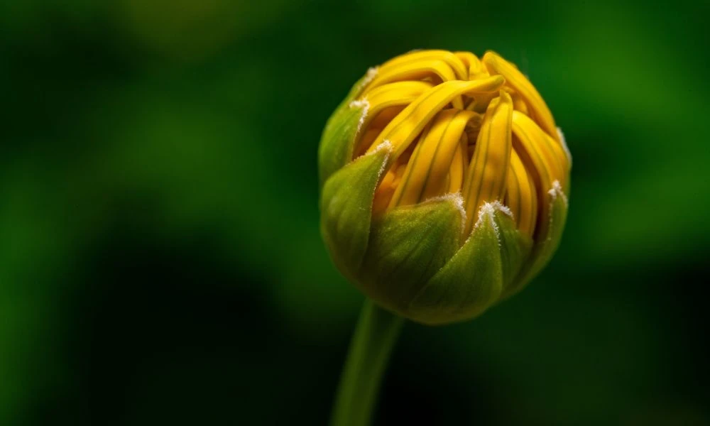Naturaleza.