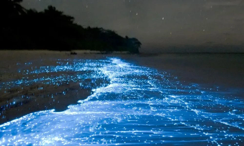 Playas de noche.