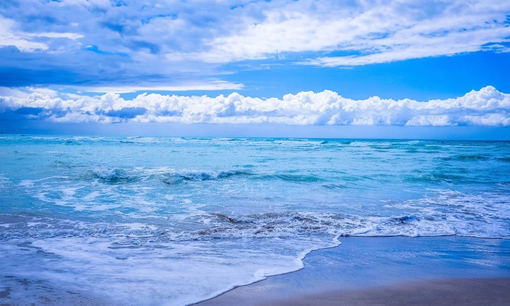 Océano y playa.