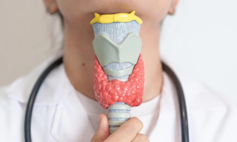 ¿Cómo funcionan las cuerdas vocales?