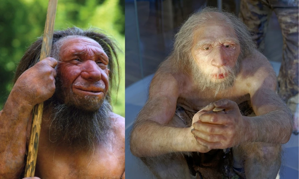 Homo sapiens: todos los seres humanos pertenecen a una misma especie