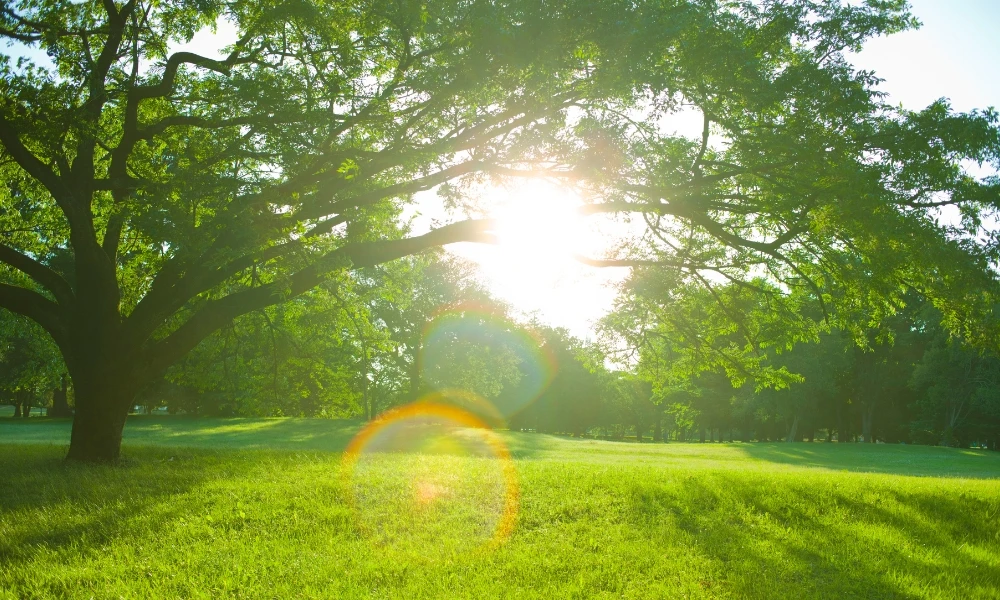 ¿Cuánto tarda la luz del Sol en llegar a la Tierra?