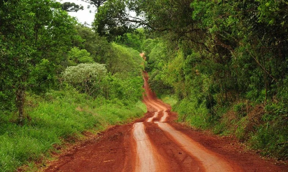 Aspecto de Misiones.