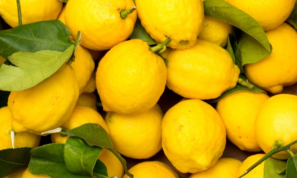 el limón es creación humana