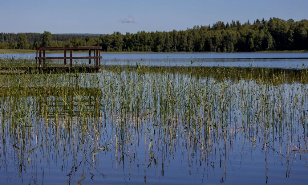 Lago.