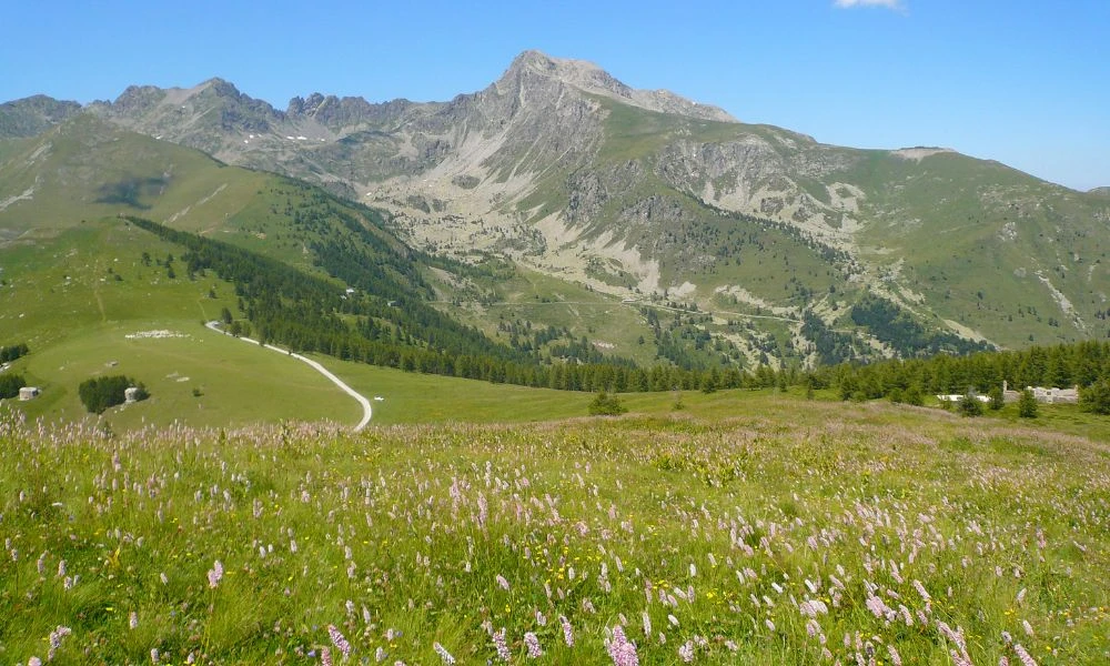 Montaña.