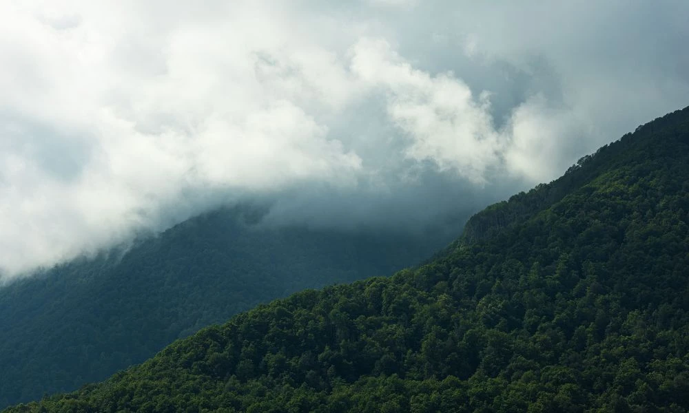 Naturaleza.