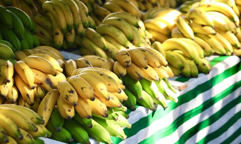Bananas.