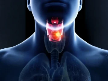 ¿Cómo funcionan las cuerdas vocales?