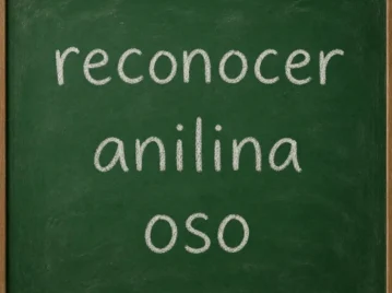Palíndromo: qué significa, ejemplos y qué es un capicúa